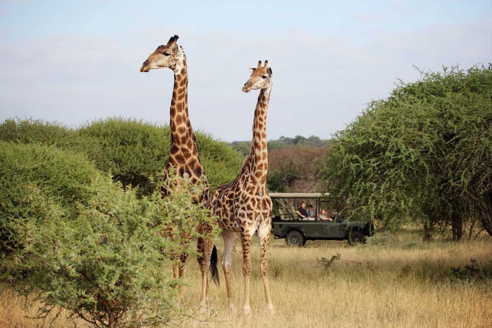 Jabulani Safari Relais & Chateaux