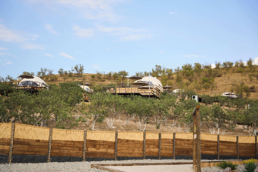 EcoHouse Glamping by ART HOTEL