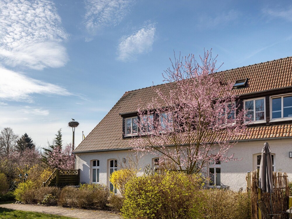 Studio in Buchholz am Mueritzsee