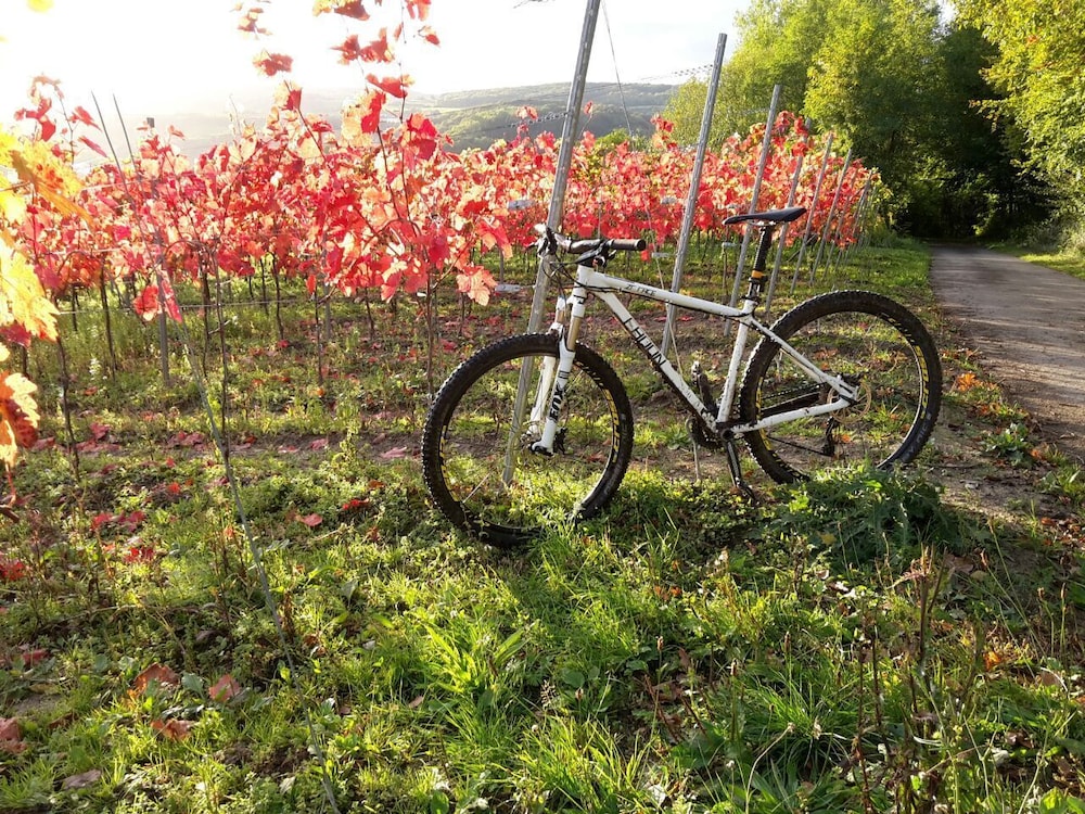 Johannishof Wine-Cafe & Guesthouse