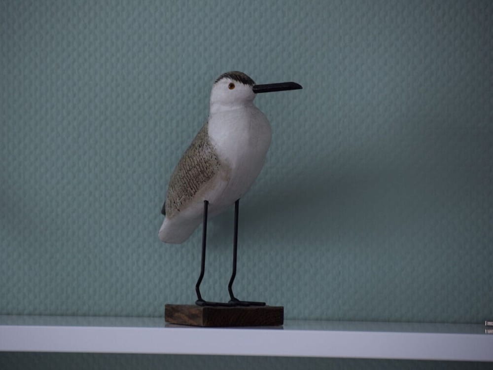 Sandpiper in Haus Strandburg Binz