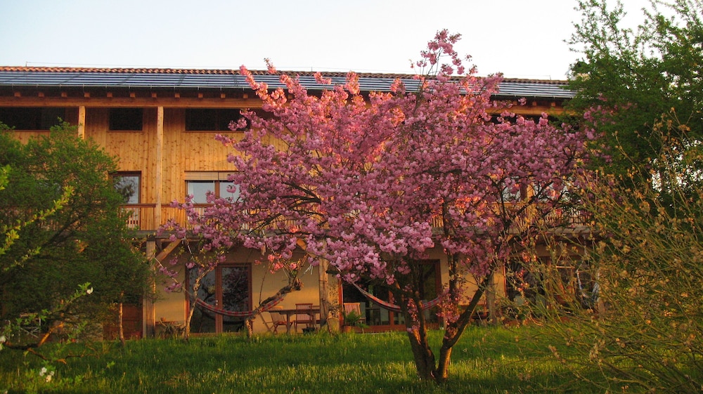 Campo di Cielo