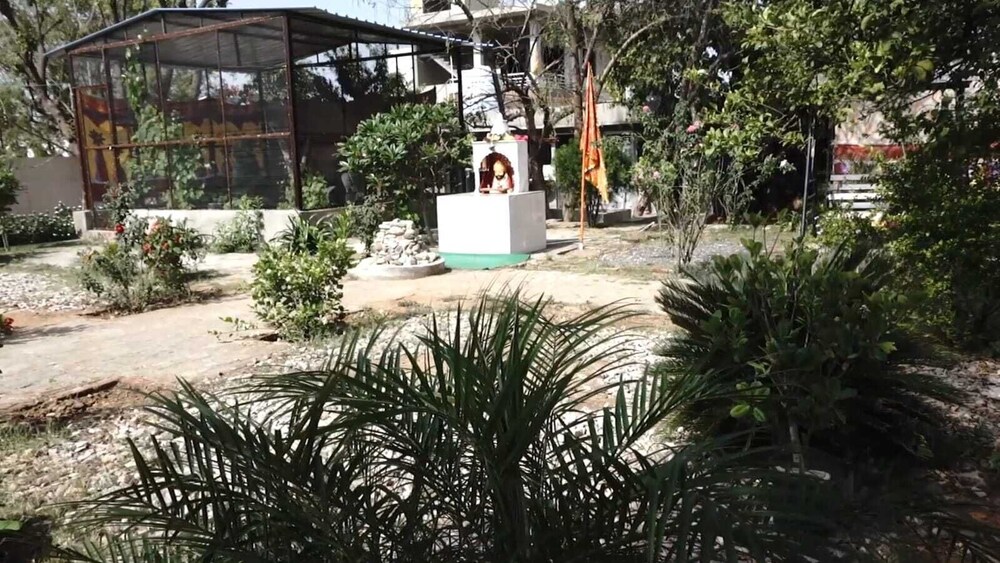 Shyam Luxurious Huts & Guest House