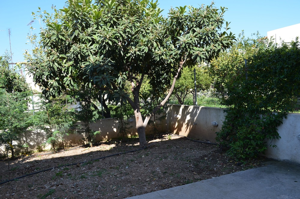 Blue Ark Aigeira Flat & Studio