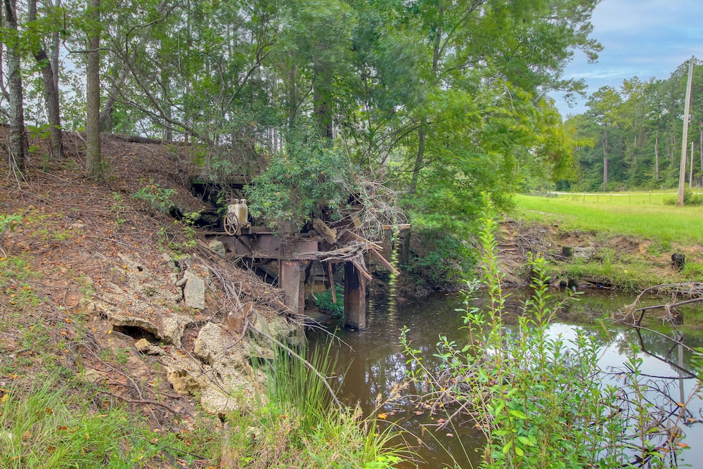 'georgia's Nature Retreat' on Old Mill Pond!