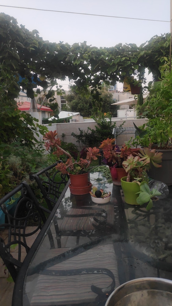 Israel Marina Village rent apartment