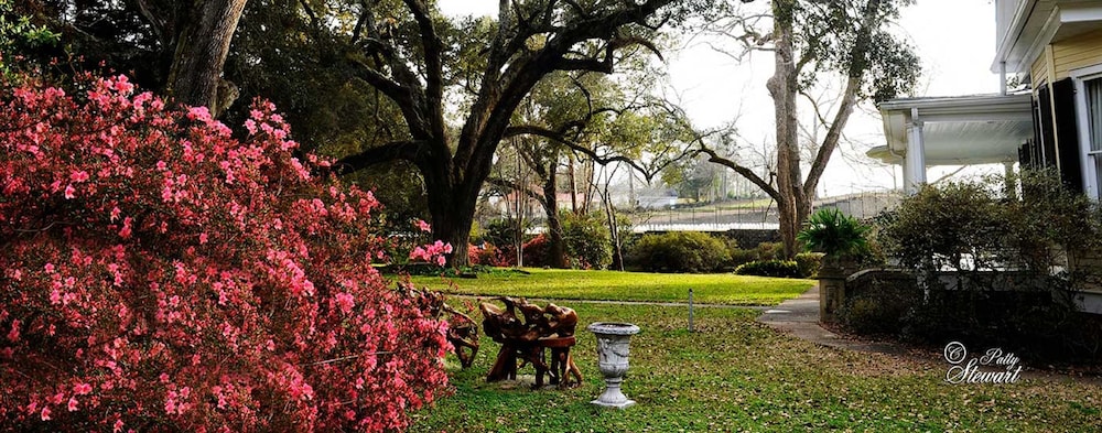 Natchez Vacations - Clermont Bluffs BB - Property Image 7