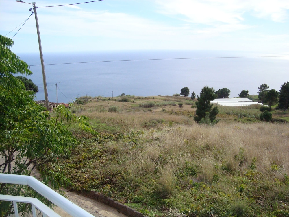 Cavalinho Palheiro in Madeira