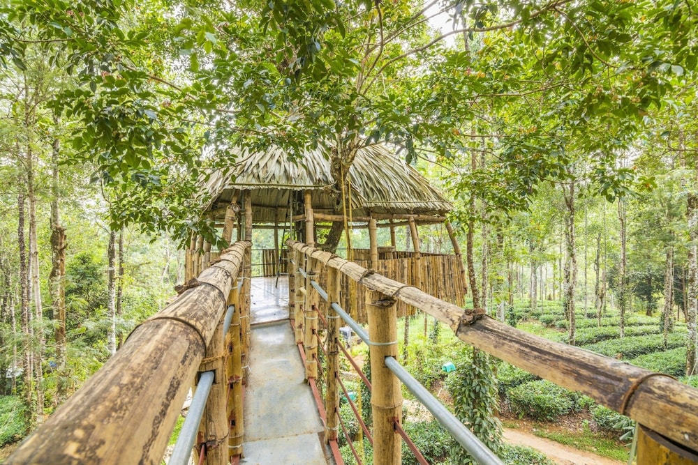 GuestHouser 4 BHK Tree house 7d51