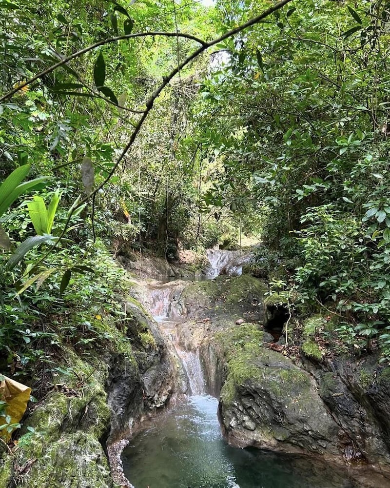 Cabang Campsite