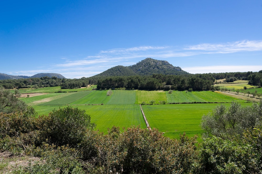 Can Fiolet in Algaida