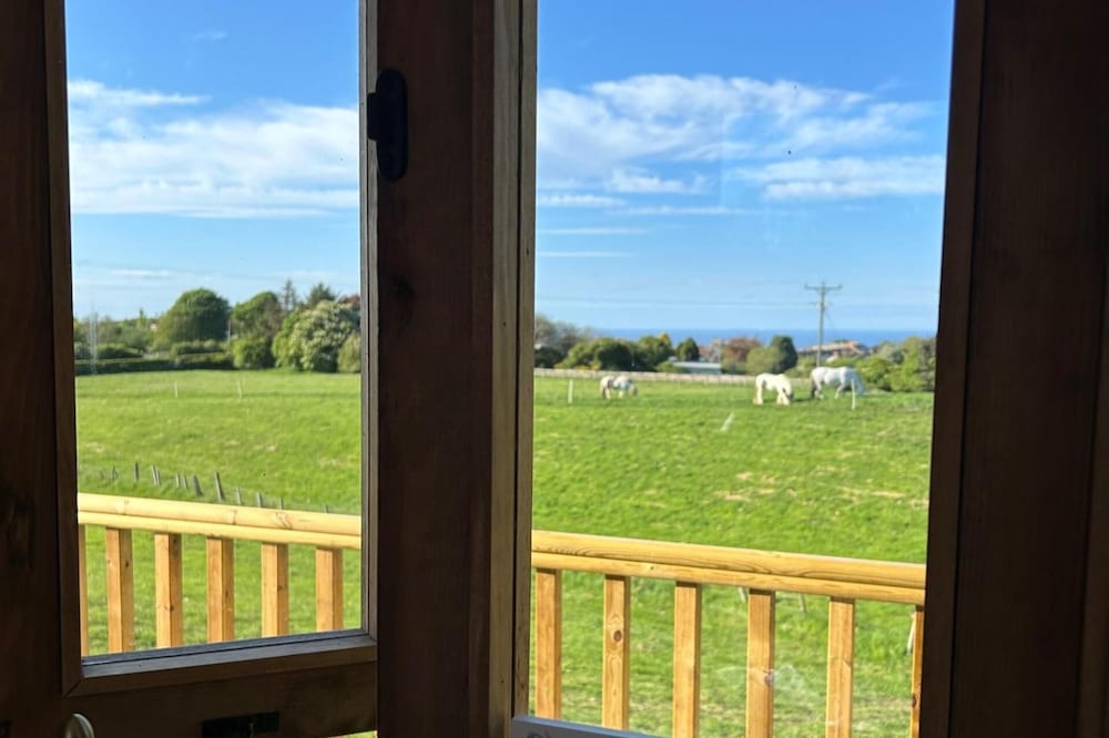 Fernlea Luxury Shepherds Hut - Sleeps 2 & Hot Tub
