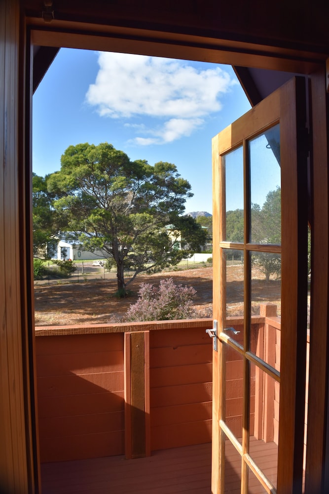 Currawong