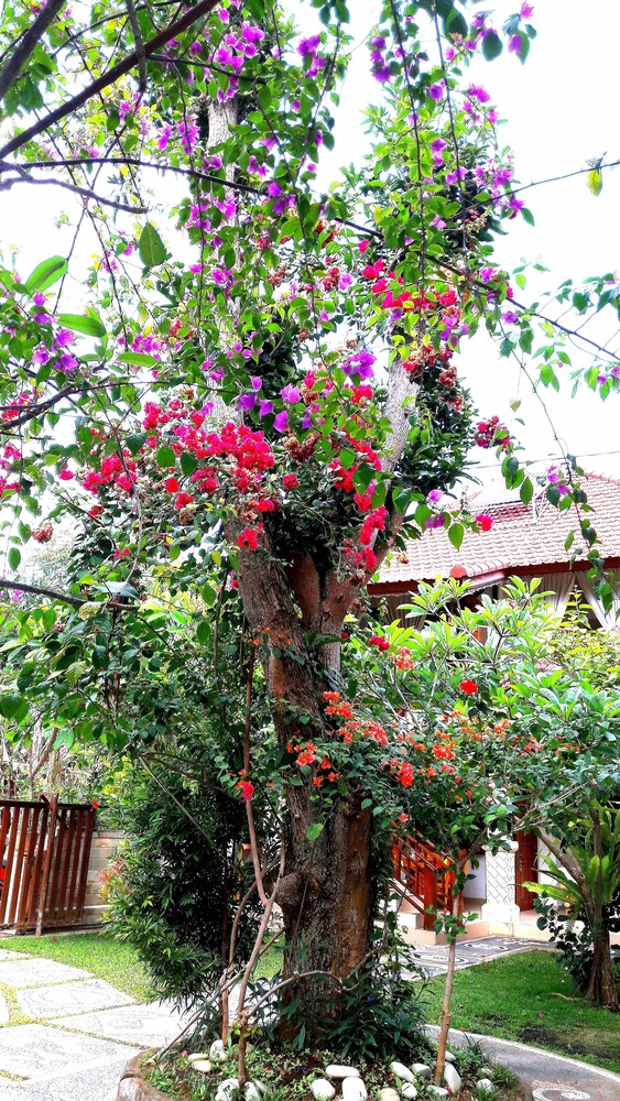 Villa Marakuya