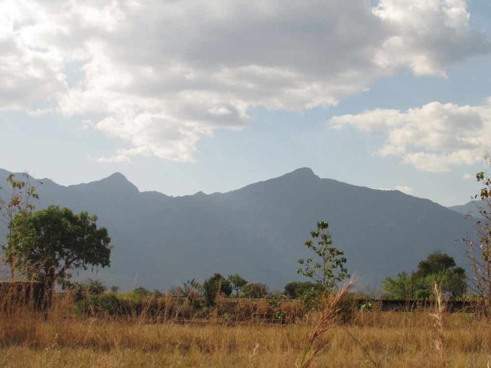 Udzungwa Forest Camp