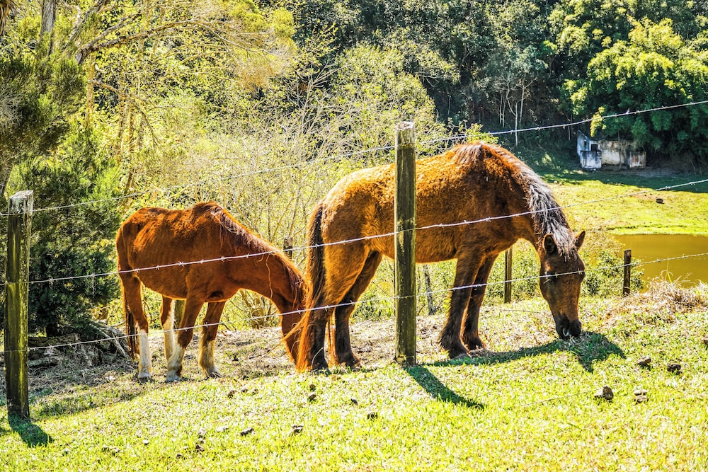 VELINN Hotel Fazenda Estrela da Serra