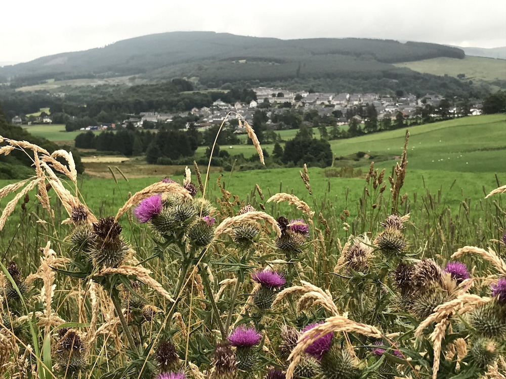 Hillside Havens