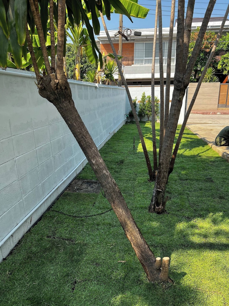 5 Beds 452sqm With Private Garden Pet-friendly Cctv Quiet and Homey