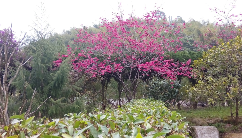 Peach Villa