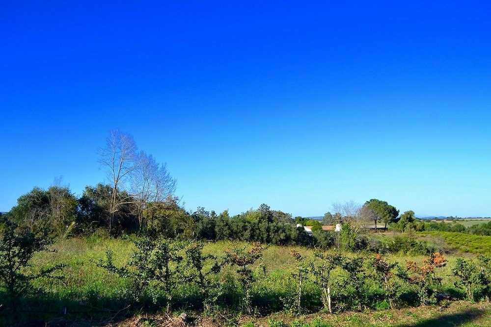 Ars Naturae Biologic Farm