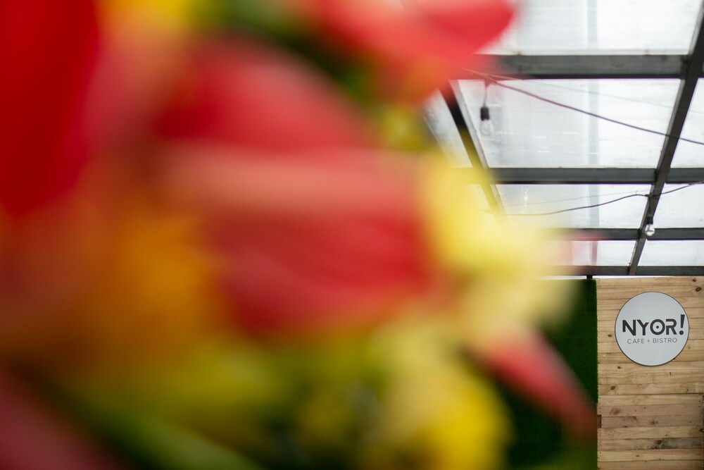 Cebu Vacations - HappyNest Hostel Cebu - Property Image 74