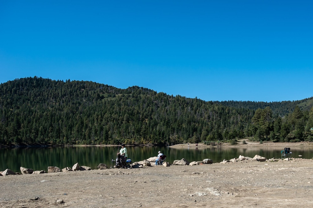 Photo 20