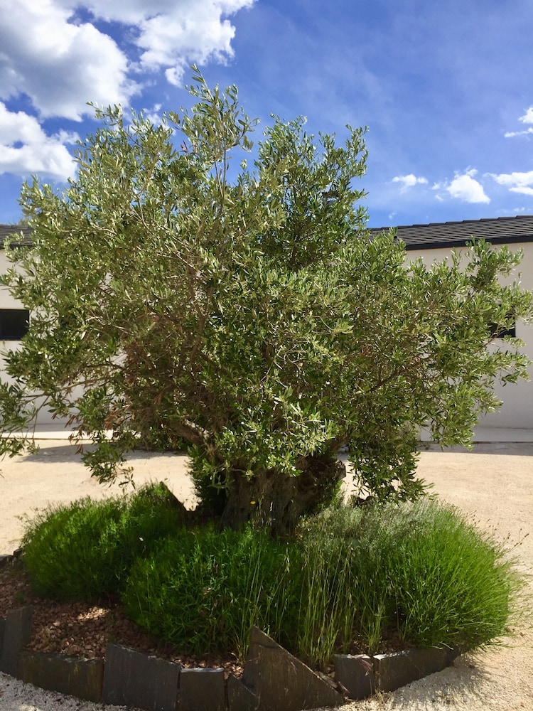 L'ESCALE COTE BLEUE VILLA & Spa 4étoiles