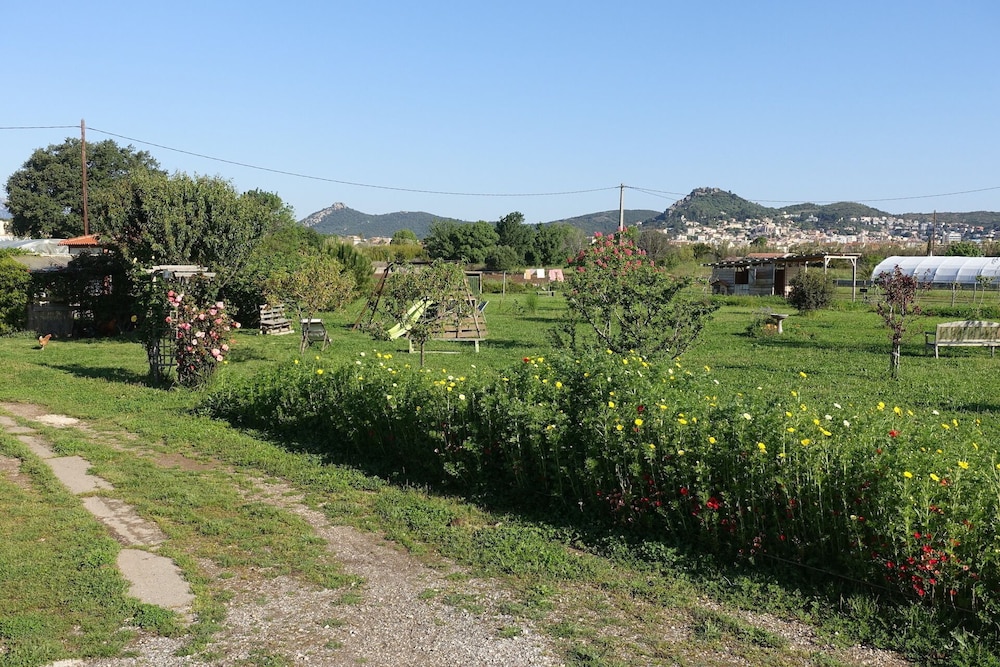 Photo 42