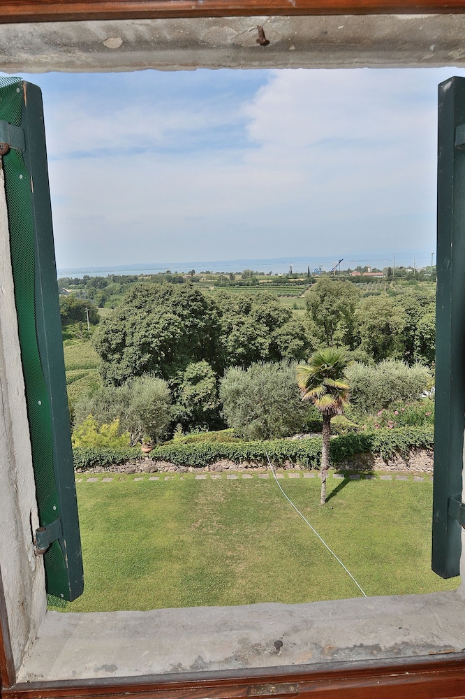 Photo 12