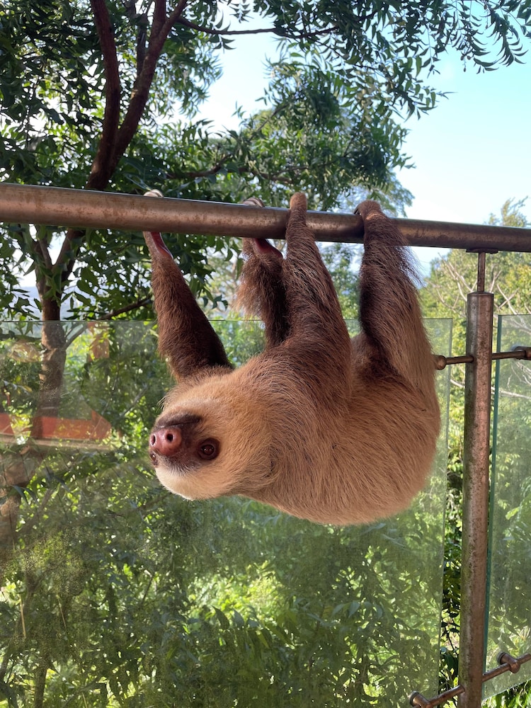 other
