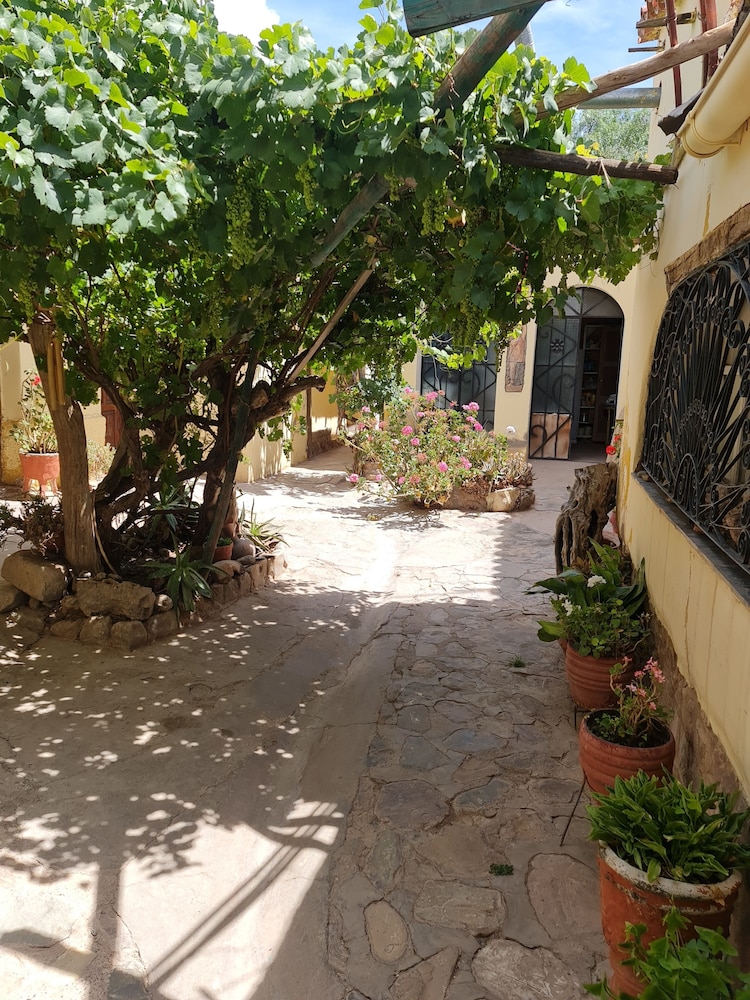 Andino Hostel