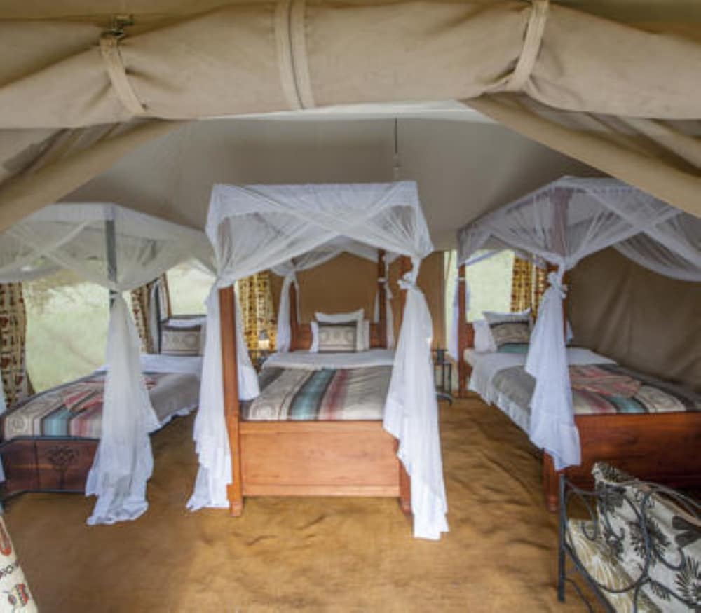 Acacia Migration Camp Ndutu view 4