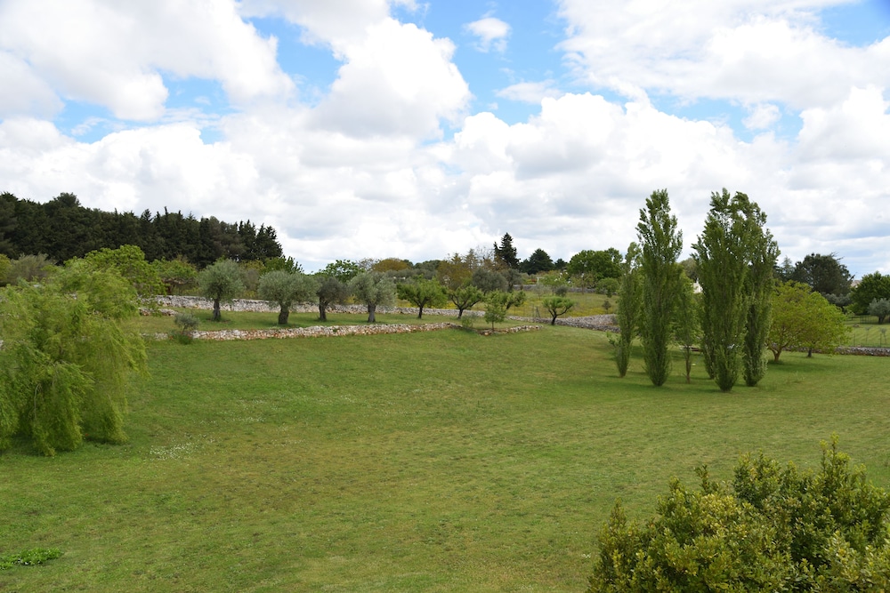 Photo 26