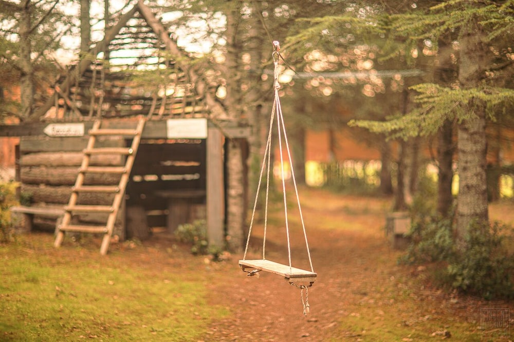 Photo 44
