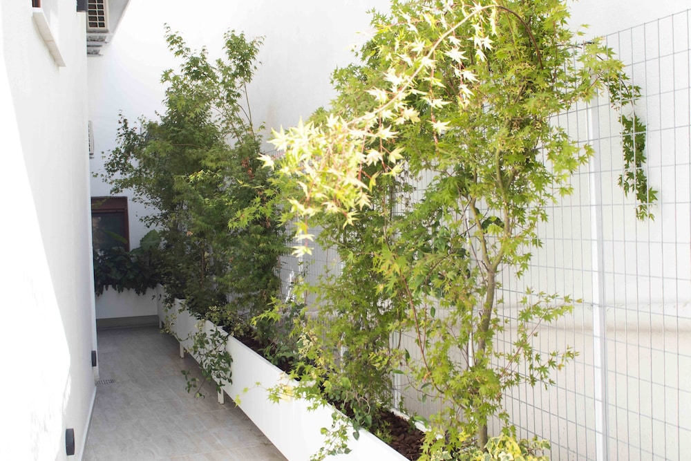 Palm Residences photo 3