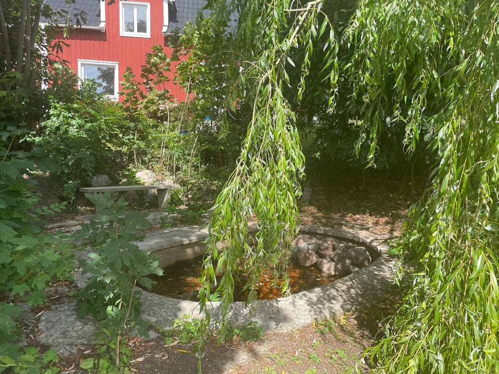 Photo 12