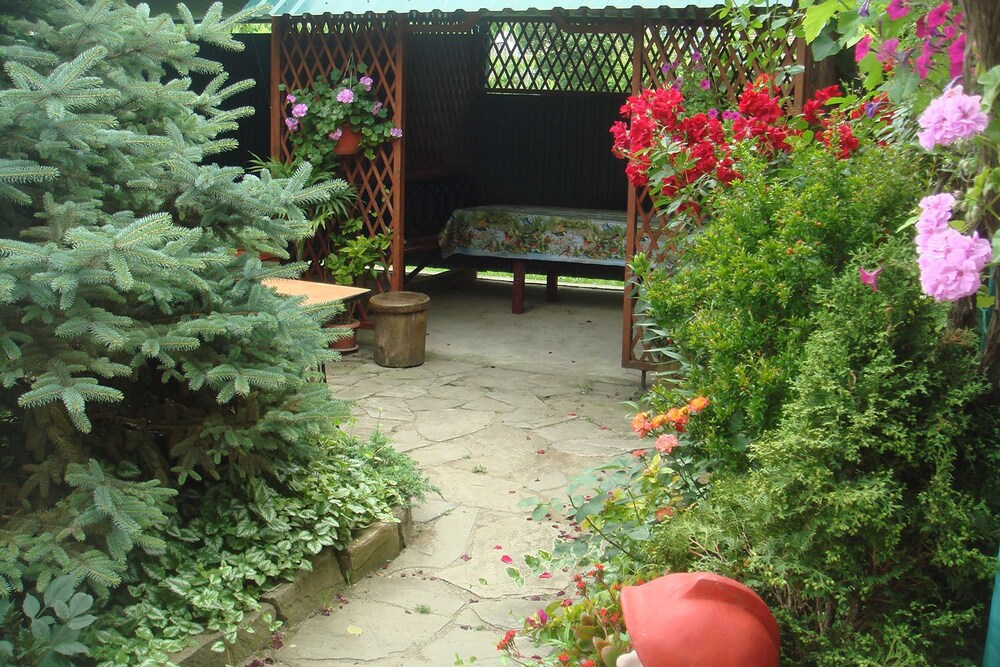 Photo 33
