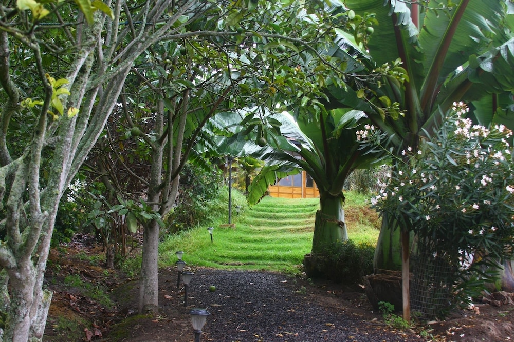 Photo 45