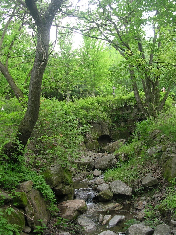 Photo 35