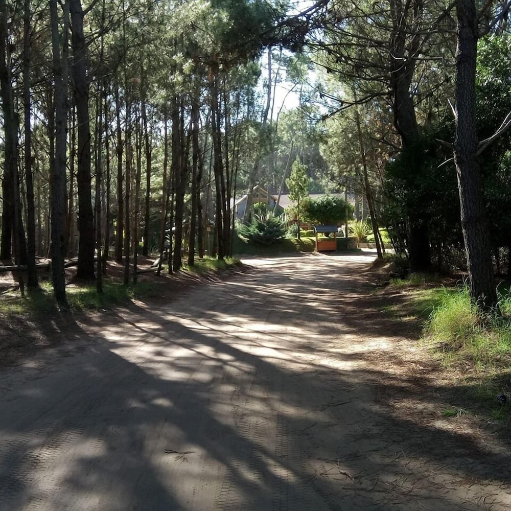 Cabañas Mapuche