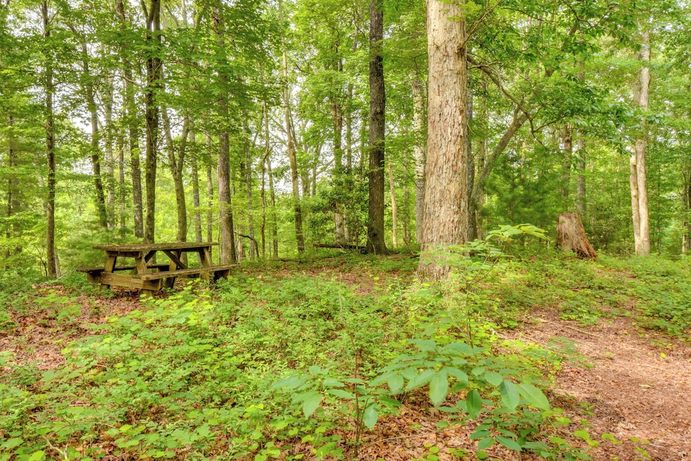 6 Mi to Helen: Romantic Georgia Cottage Hideaway!