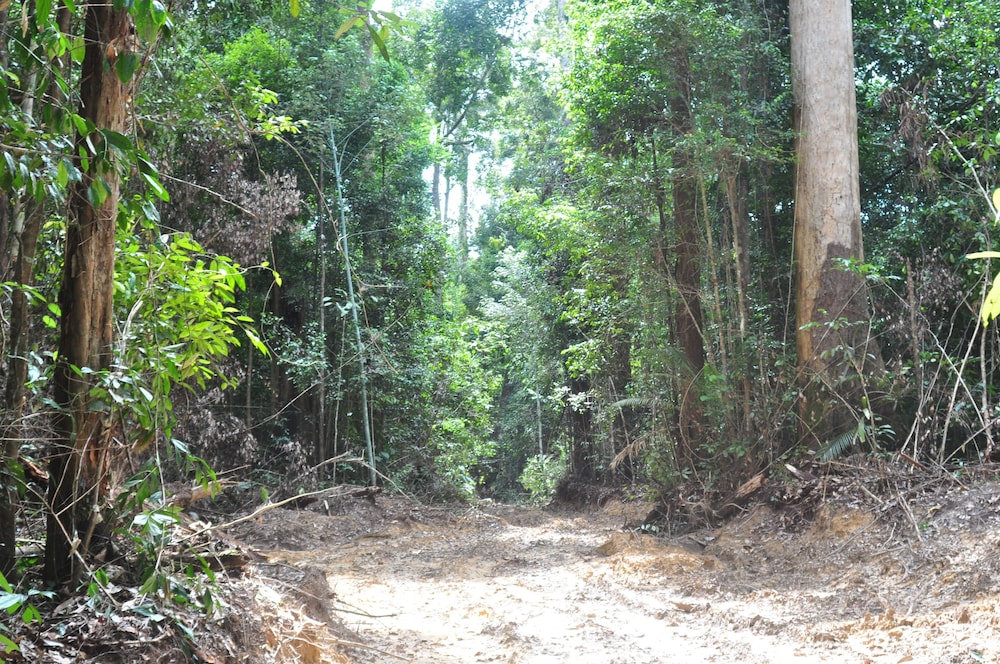 Samboja Lodge