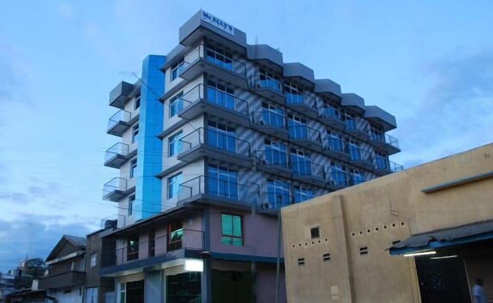Mc-Ellys Hotel