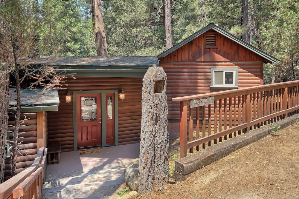 The Tree House
