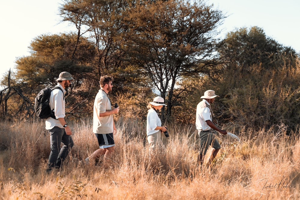 Gabus Safari Lodge
