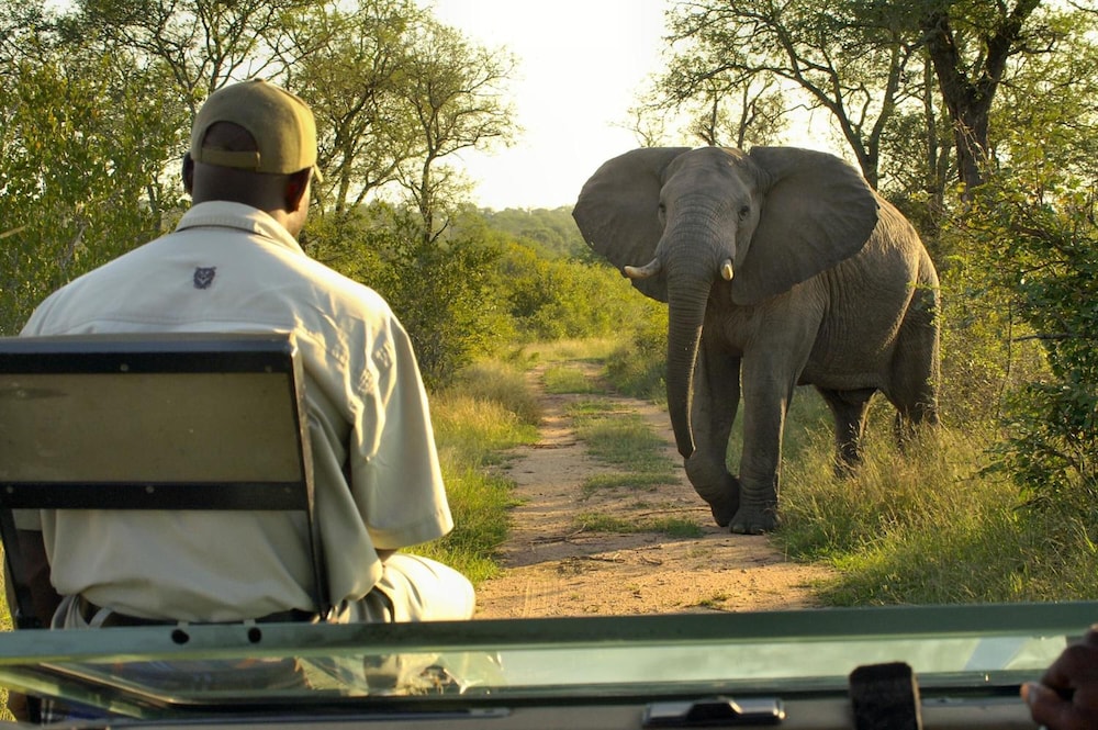 Lukimbi Safari Lodge