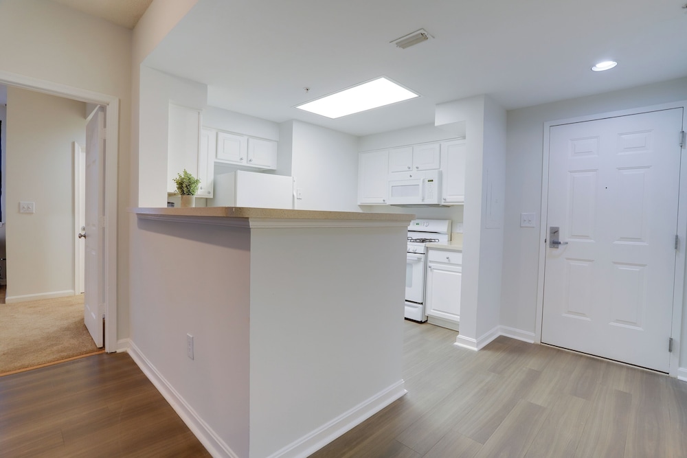 Amazing Apt in Ballston With Gym
