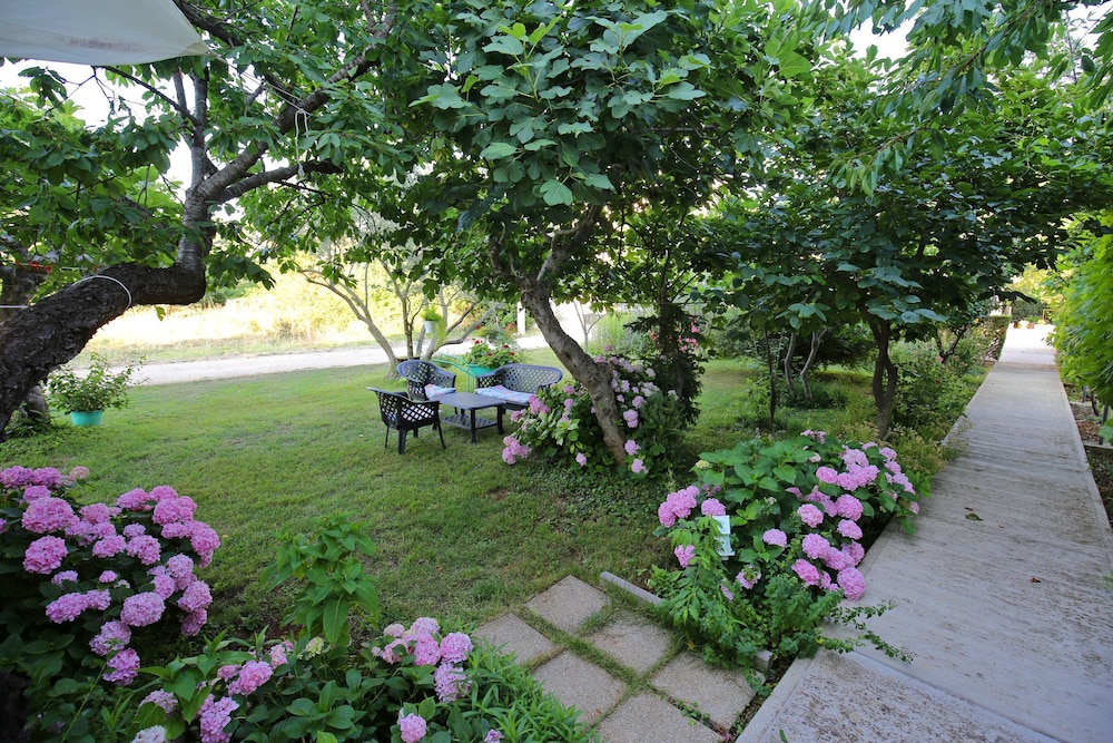 Photo 21