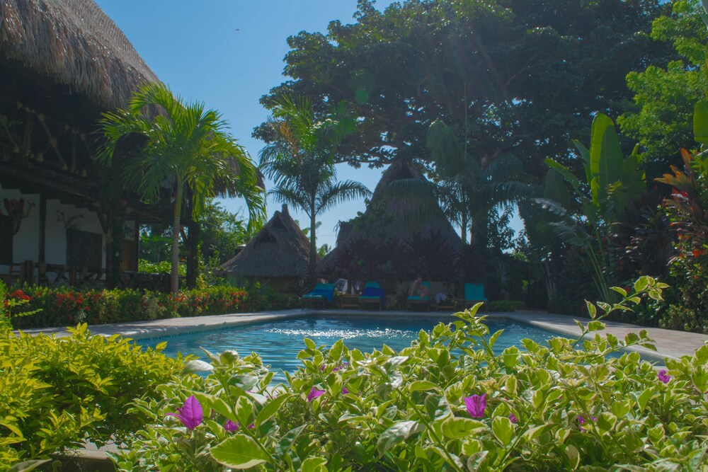 Prima Luna Palomino - Property Image 41