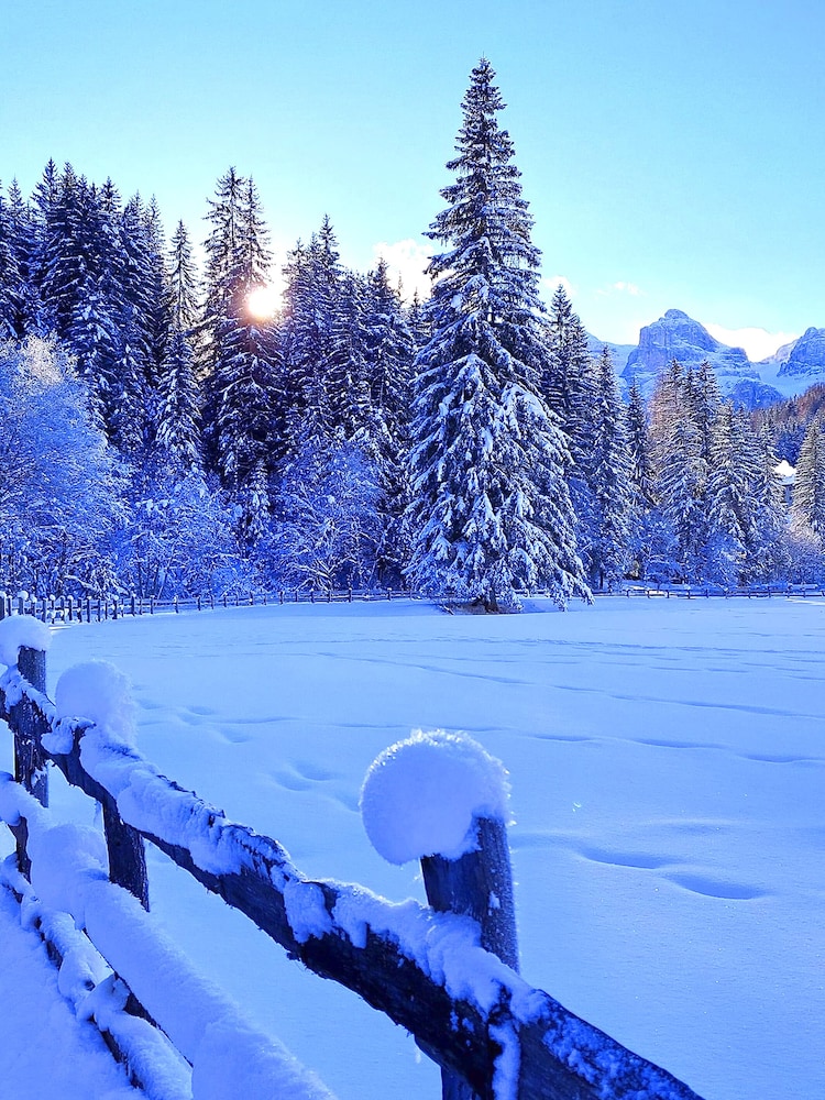 Apartment on the ski Slopes at Plan de Corones view 5